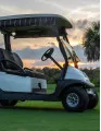 Golf Cart Market Growth, Size, Trends, Analysis Report by Type, Application, Region and Segment Forecast 2021-2025