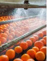 Food Industry Pulsed Electric Field (PEF) Systems Market by Application, Type, and Geography - Forecast and Analysis 2023-2027