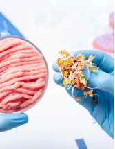 Plant-based Meat Market by Foodservice System, Type, and Geography- Forecast and Analysis 2023-2027