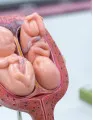 Amniotic Membrane Market by End-user, Type, and Geography - Forecast and Analysis 2023-2027