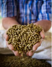 Global Animal Feed Vitamin Market Analysis APAC, Europe, North America, South America, Middle East and Africa - US, China, Japan, India, Germany - Size and Forecast 2024-2028