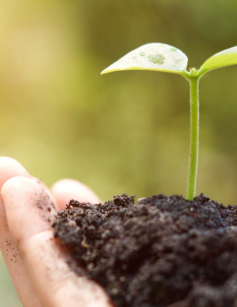 Biostimulants Market Analysis, Size, and Forecast 2025-2029: Europe (France, Germany, Italy, UK), APAC (China, India, Japan, South Korea), North America (US and Canada), South America , and Middle East and Africa