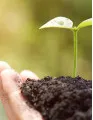Biostimulants Market Analysis - Europe, APAC, North America, South America, Middle East and Africa - US, Canada, China, Japan, India, Germany - Size and Forecast 2023-2027