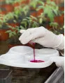 Agrochemicals Market by Product, Application, and Geography - Forecast and Analysis 2023-2027