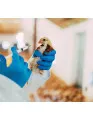 Animal Growth Enhancers Market by Product and Geography - Forecast and Analysis 2021-2025