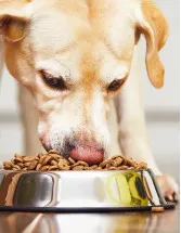 Pet Food Market by product, type, and geography - Forecast and Analysis 2023-2027