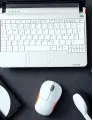 Computer Accessories Market by Product, End-user, and Geography - Forecast and Analysis 2023-2027