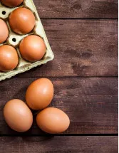 Egg Packaging Market by Type, Raw Material, and Geography - Forecast and Analysis 2021-2025