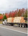 Global Timber Logistics Market by Type, Mode Of Transportation and Geography - Forecast and Analysis 2023-2027