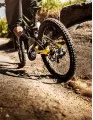 Bicycle OEM Tires Market Growth, Size, Trends, Analysis Report by Type, Application, Region and Segment Forecast 2021-2025
