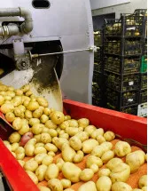 Processed Potatoes Market by End-user, Product, Distribution Channel, and Geography - Forecast and Analysis 2023-2027