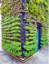 Vertical Garden Construction Market by Type, Application, and Geography - Forecast and Analysis 2023-2027