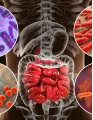 Gastrointestinal (GI) Diseases Therapeutics Market Analysis North America, Asia, Europe, Rest of World (ROW) - US, Germany, France, Japan, China - Size and Forecast 2023-2027