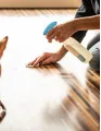 Animal Disinfectant Market by Type and Geography - Forecast and Analysis 2021-2025