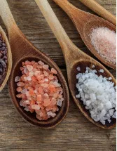Salt Market by Type, Application and Geography - Forecast and Analysis 2023-2027
