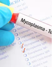 Mycoplasma Testing Market by End-user, Product and Geography - Forecast and Analysis 2023-2027