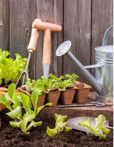 Cordless Garden Equipment Market Growth, Size, Trends, Analysis Report by Type, Application, Region and Segment Forecast 2021-2025