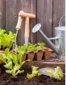 Cordless Garden Equipment Market Growth, Size, Trends, Analysis Report by Type, Application, Region and Segment Forecast 2021-2025