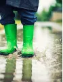 Gumboots Market Growth, Size, Trends, Analysis Report by Type, Application, Region and Segment Forecast 2022-2026