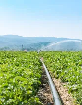 Wound Irrigation Solution Market in US by Product and End-user - Forecast and Analysis 2021-2025