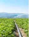 Wound Irrigation Solution Market in US by Product and End-user - Forecast and Analysis 2021-2025