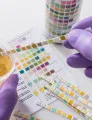 Urinalysis Market Analysis North America, Europe, Asia, Rest of World (ROW) - US, Germany, UK, China, Japan - Size and Forecast 2024-2028
