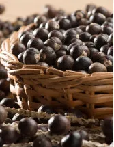 Acai Berry Products Market Analysis Europe, North America, South America, APAC, Middle East and Africa - US, Canada, Germany, France, Brazil - Size and Forecast 2024-2028
