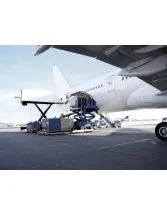 Aviation Cargo Management Systems Market by Type and Geography - Forecast and Analysis 2020-2024