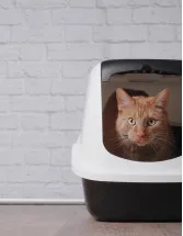Automatic Self-cleaning Cat Litter Box Market Analysis North America,Europe,APAC,South America,Middle East and Africa - US,Canada,China,Germany,France - Size and Forecast 2023-2027