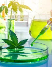 Cannabis Testing Market - North America, Europe, EMEA, APAC : US, Canada, China, Germany, UK - Forecast 2023-2027