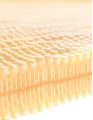 Cellulose Acetate Market by Type, Application, and Geography - Forecast and Analysis 2021-2025
