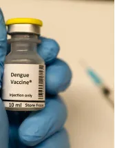 Dengue Vaccine Market by End-user and Geography - Forecast and Analysis 2021-2025