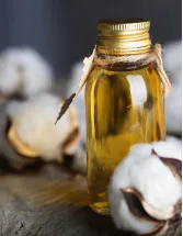 Cottonseed Oil Market by Product, Distribution Channel, and Geography - Forecast and Analysis 2023-2027