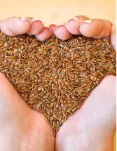 Flax Seeds Market - North America, Europe, EMEA, APAC : US, Canada, China, Germany, UK - Forecast 2023-2027