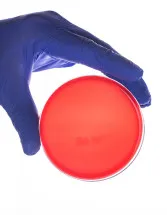 Microbial Testing Market by Application and Geography - Forecast and Analysis 2021-2025