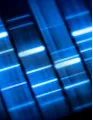 Forensic Technologies Market by Technique, Application, and Geography - Forecast and Analysis 2023-2027