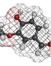 Bio Vanillin Market by Application and Geography - Forecast and Analysis 2021-2025