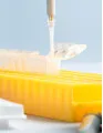 Gel Documentation Systems Market by Product, End-user, and Geography - Forecast and Analysis 2023-2027