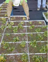 Green-Roofs Market by Application, Product, and Geography - Forecast and Analysis 2023-2027