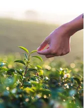 Crop Harvesting Robots Market Growth by Type, Product, and Geography - Forecast and Analysis 2023-2027