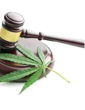 Legal Cannabis Market by Product, Derivative Type and Geography - Forecast and Analysis 2023-2027