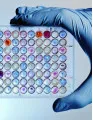 Molecular Microplate Readers and Washers Market by Product, End-user, and Geography - Forecast and Analysis 2022-2026