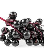 Elderberry Market by Application, Distribution Channel, and Geography - Forecast and Analysis 2023-2027