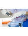 Gel Electrophoresis Market by Product, End-user, and Geography - Forecast and Analysis 2020-2024