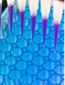 Liquid Biopsy Market by Application, Technology and Geography - Forecast and Analysis 2023- 2027