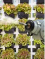 Robotic Weeding Machines Market by Type and Geography - Forecast and Analysis 2022-2026