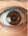 Eye Tracking Market by Application and Geography - Forecast and Analysis 2021-2025