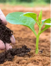 Organic Fertilizers Market by Deployment, Type and Geography- Forecast and Analysis 2023-2027