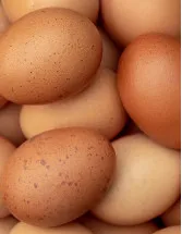 Poultry Eggs Market Analysis APAC, North America, Europe, South America, Middle East and Africa - US, Mexico, China, Japan, India - Size and Forecast 2024-2028