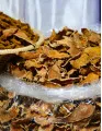 Functional Additives Market by Type, Application, and Geography - Forecast and Analysis 2021-2025